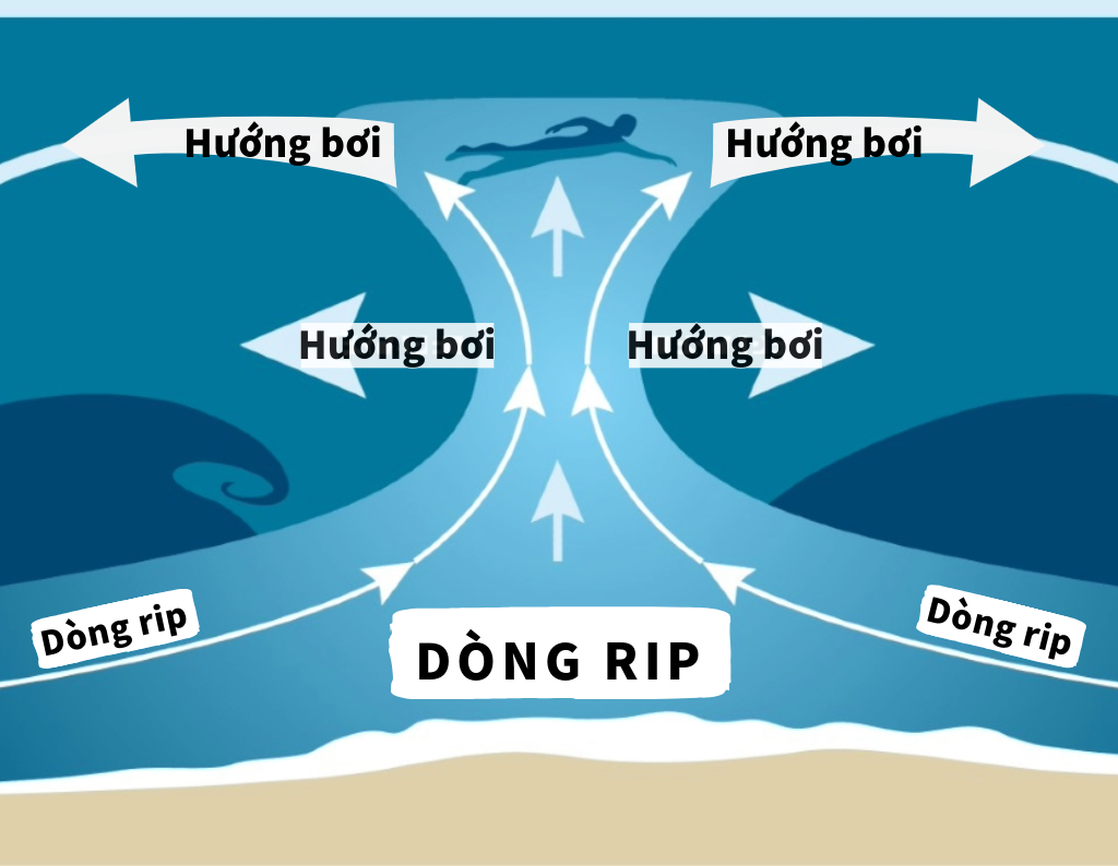 Hướng dẫn thoát khỏi dòng RIP